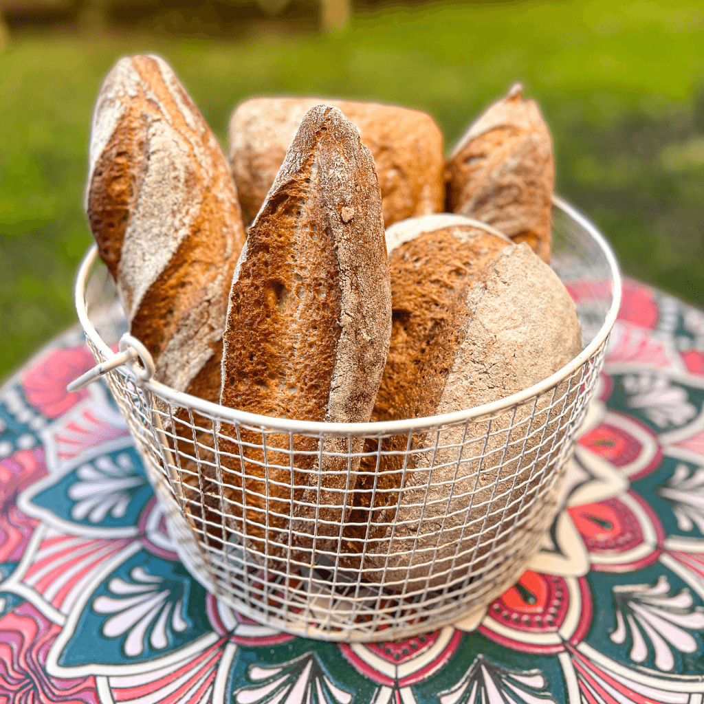 Masas y panes sin gluten
cursos panes sin gluten
cocinando el cambio
harinas sin gluten
panadería sin gluten